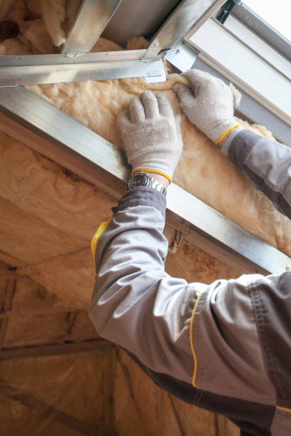 Best Geographic-Specific Insulation Services in Rockford, MN